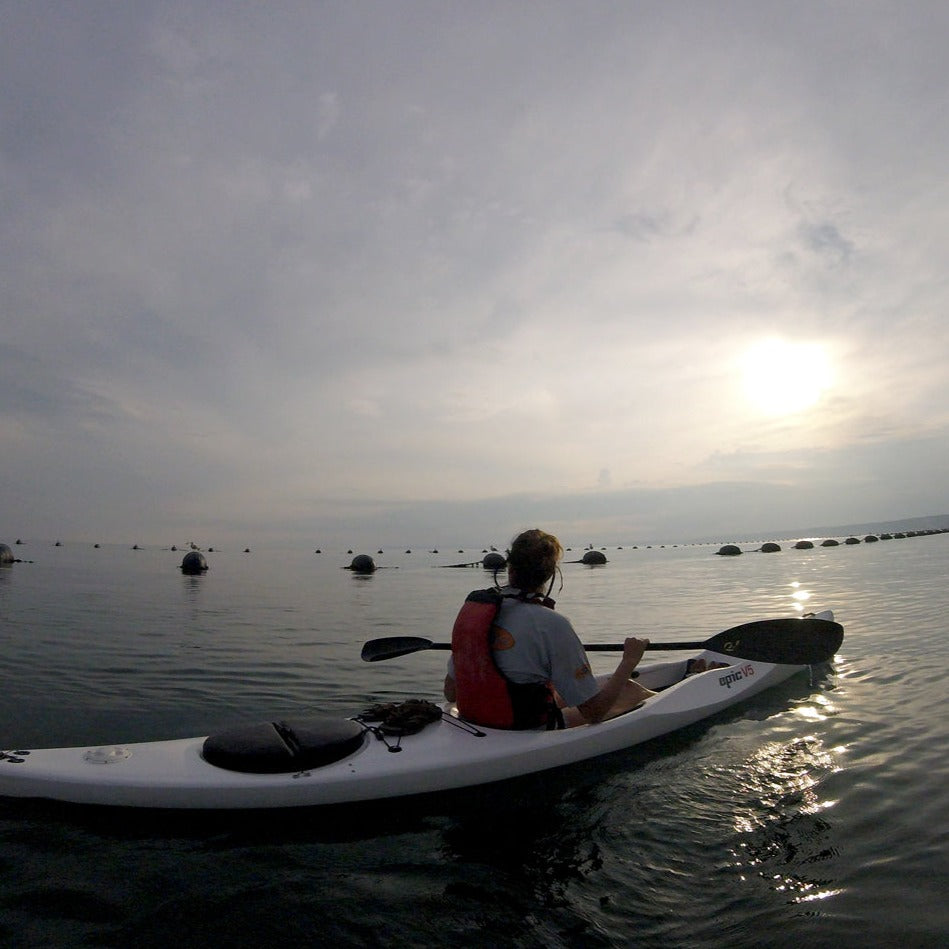 Sunset kayak tour on the Northern Black Sea coast. 3-hour sea adventure