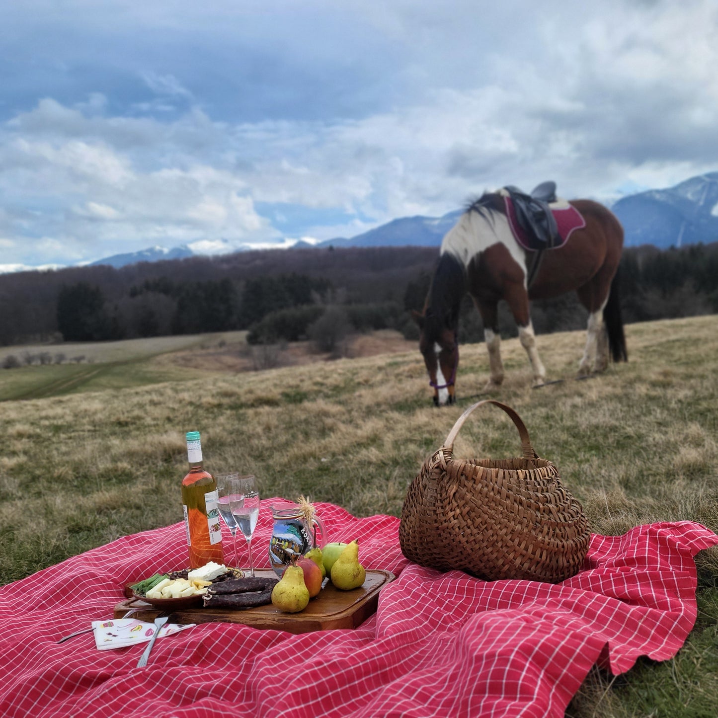 Horse riding and romantic picnic for two. Borovets