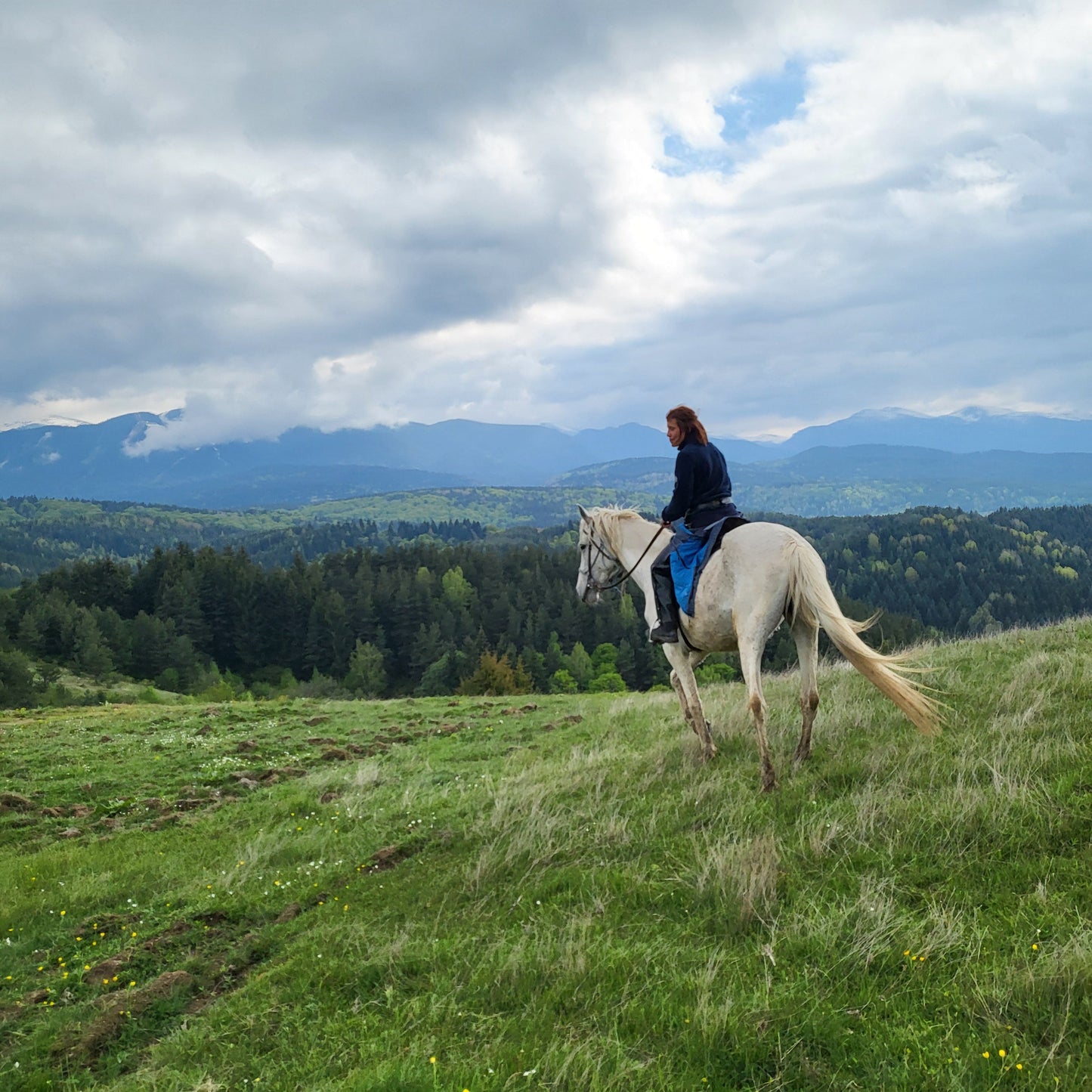 Horse riding and romantic picnic for two. Borovets