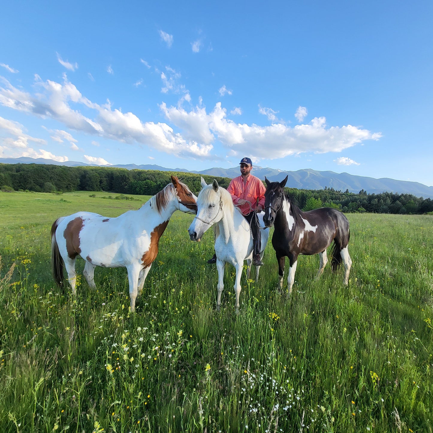 Horseback riding and ATV adventure for two with picnic. Borovets