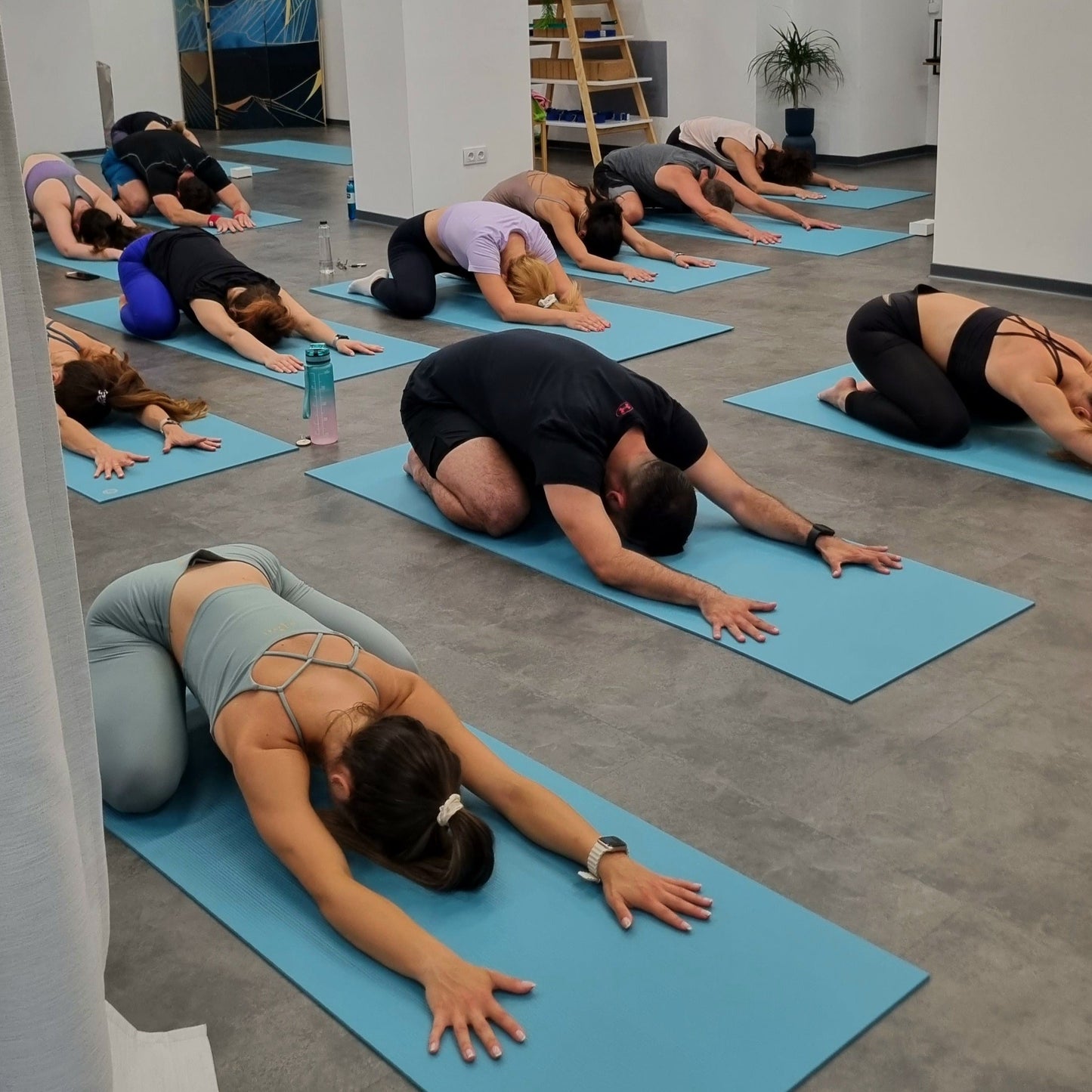 Balance for mind and body. Yoga classes of your choice