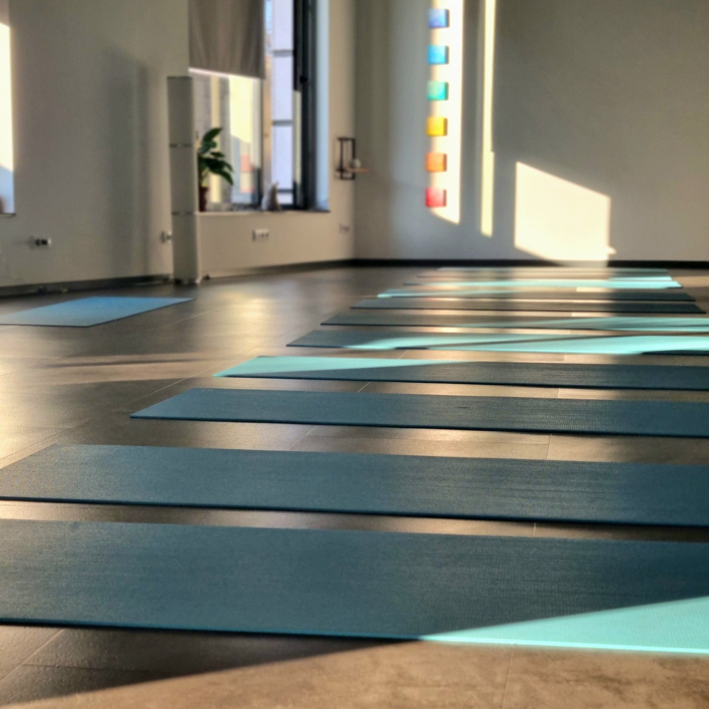 Balance for mind and body. Yoga classes of your choice