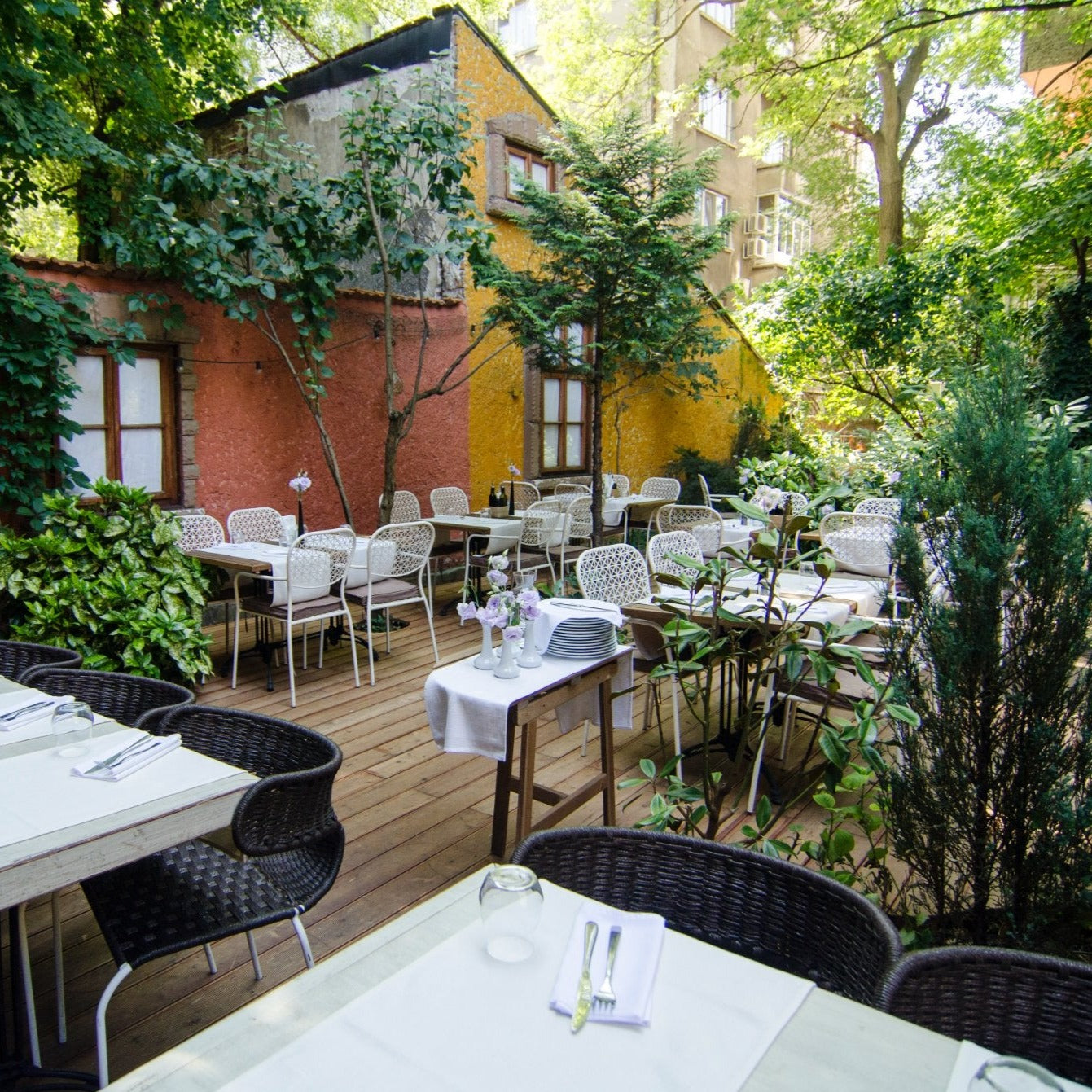 Gourmet delight - A surprise for two. The different Mediterranean cuisine in the center of Sofia