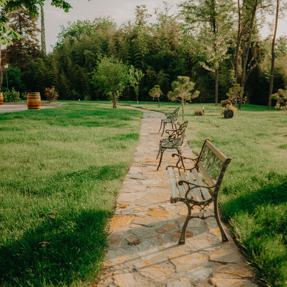 The wine behind the scenes. Two days of wine, relax and adventure for two