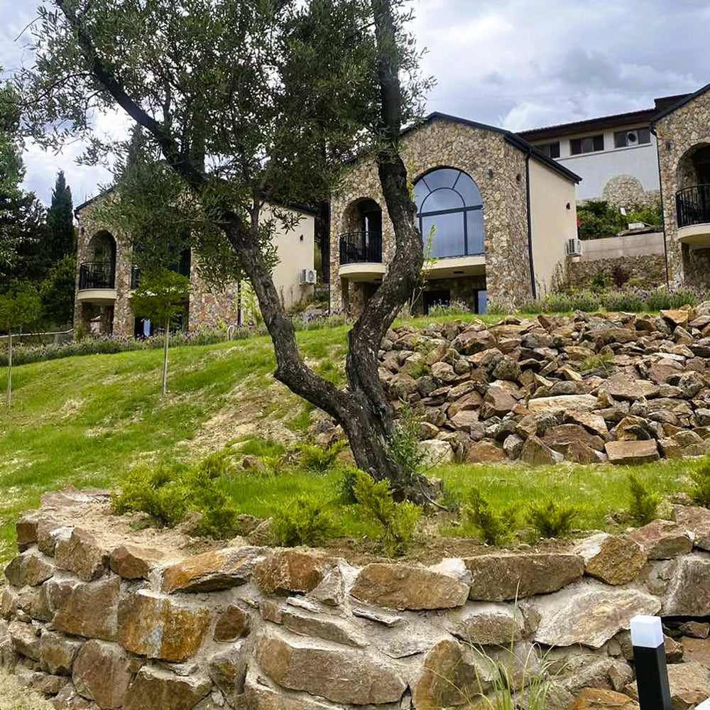 VIP SPA experience in Vila Sintica