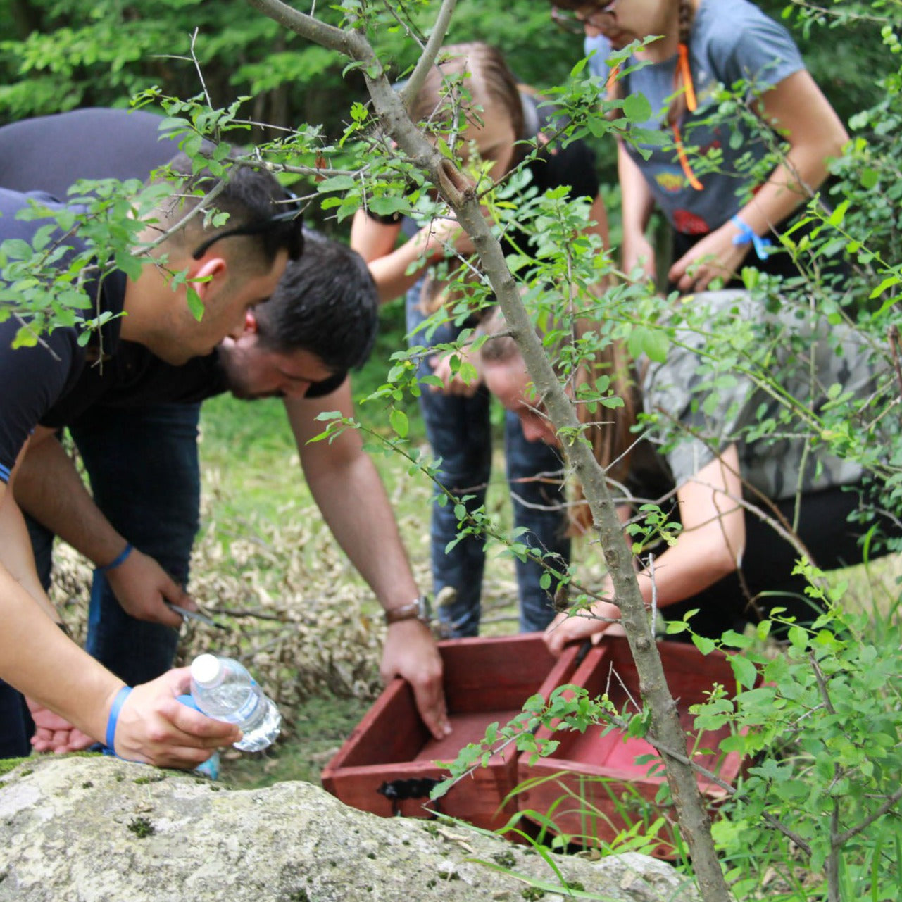 Vitosha Forest Quest – a forest adventure for kids and adults