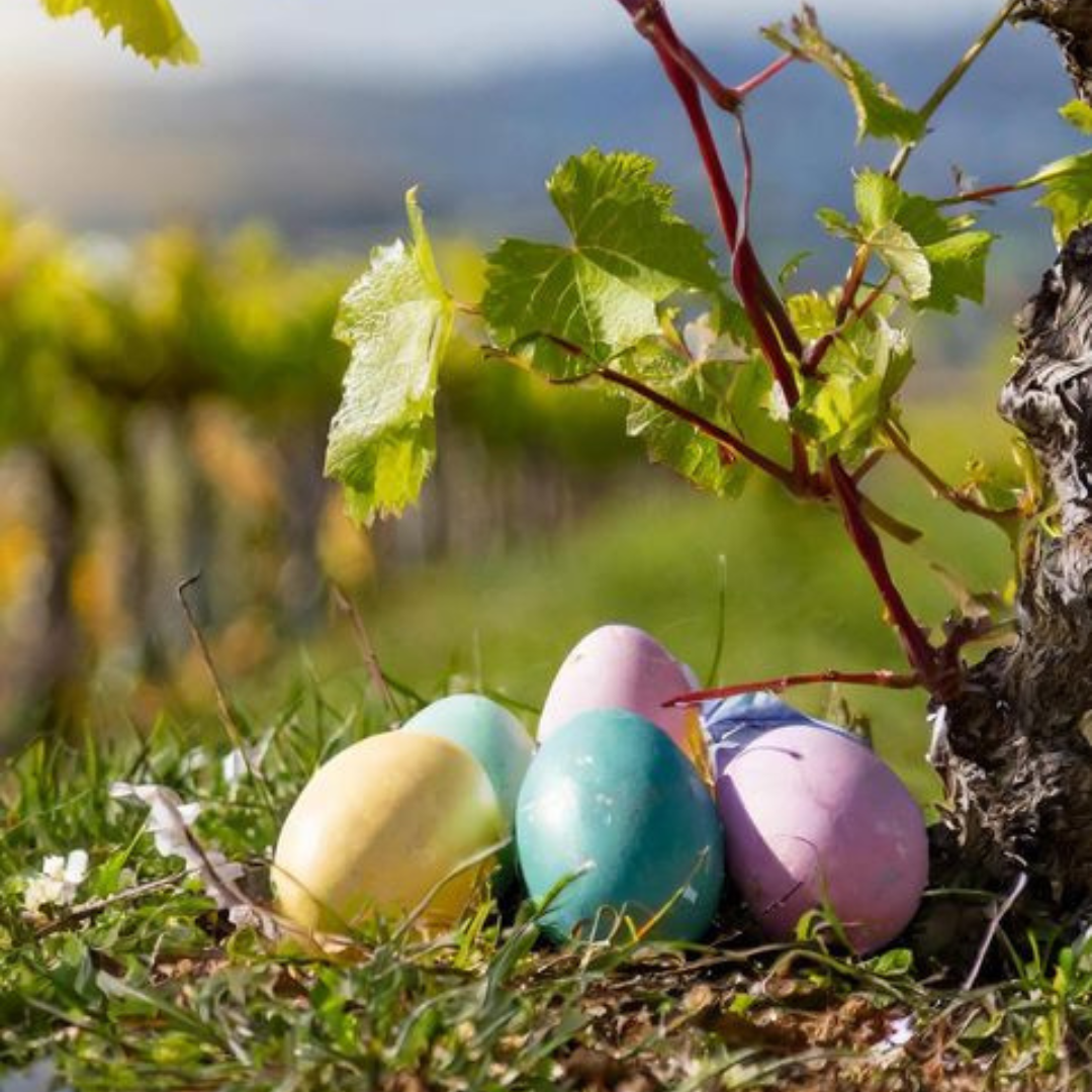 Family Easter holidays in Chateau Copsa. 4 days of activities and Easter celebration