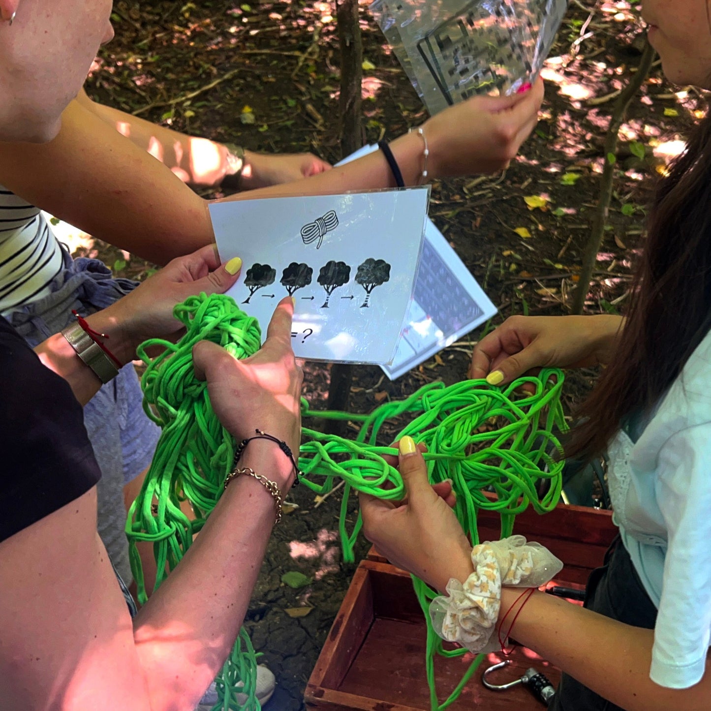 Vitosha Forest Quest – a forest adventure