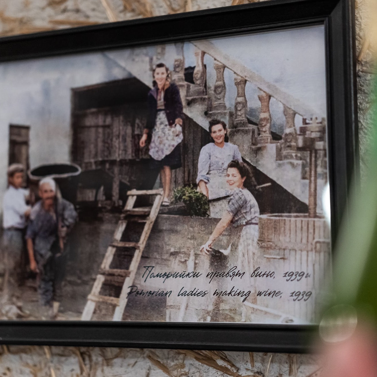 Rakia tasting and a visit to the Rakia Museum