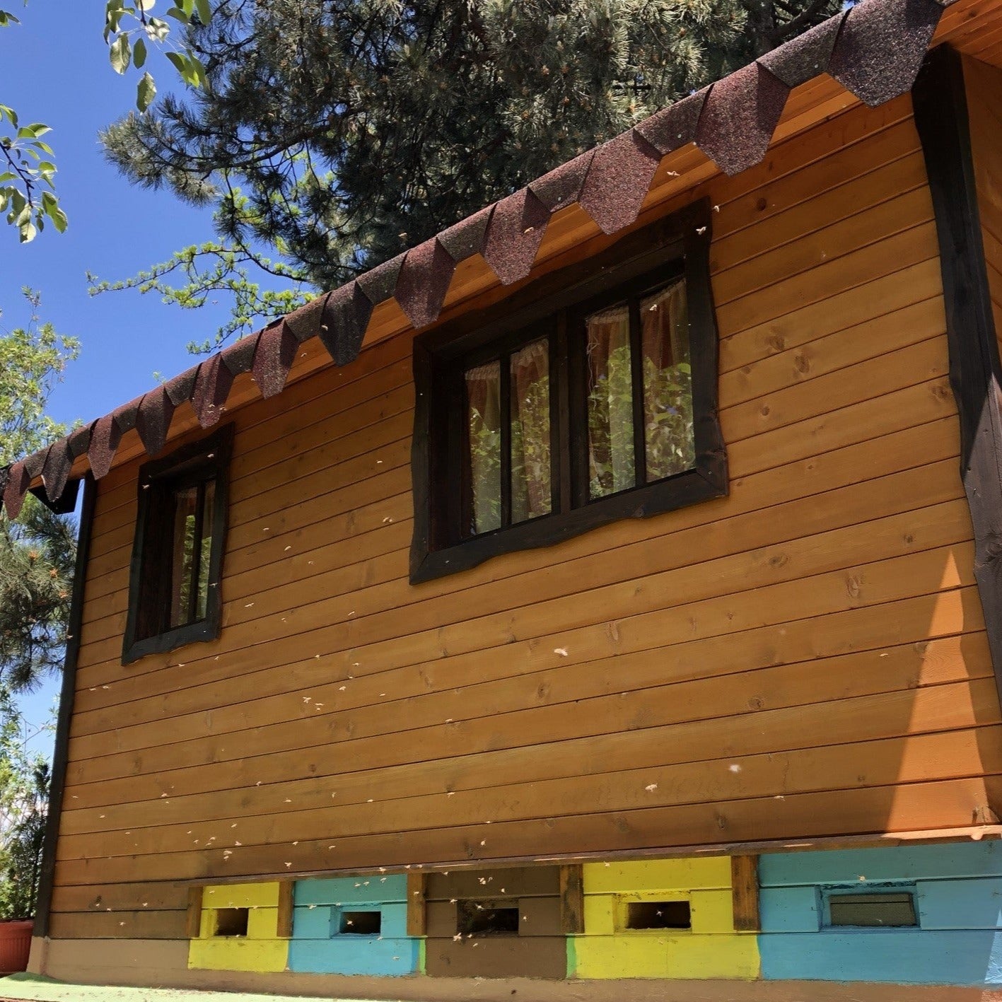 Bee in love. Bee room experience for two