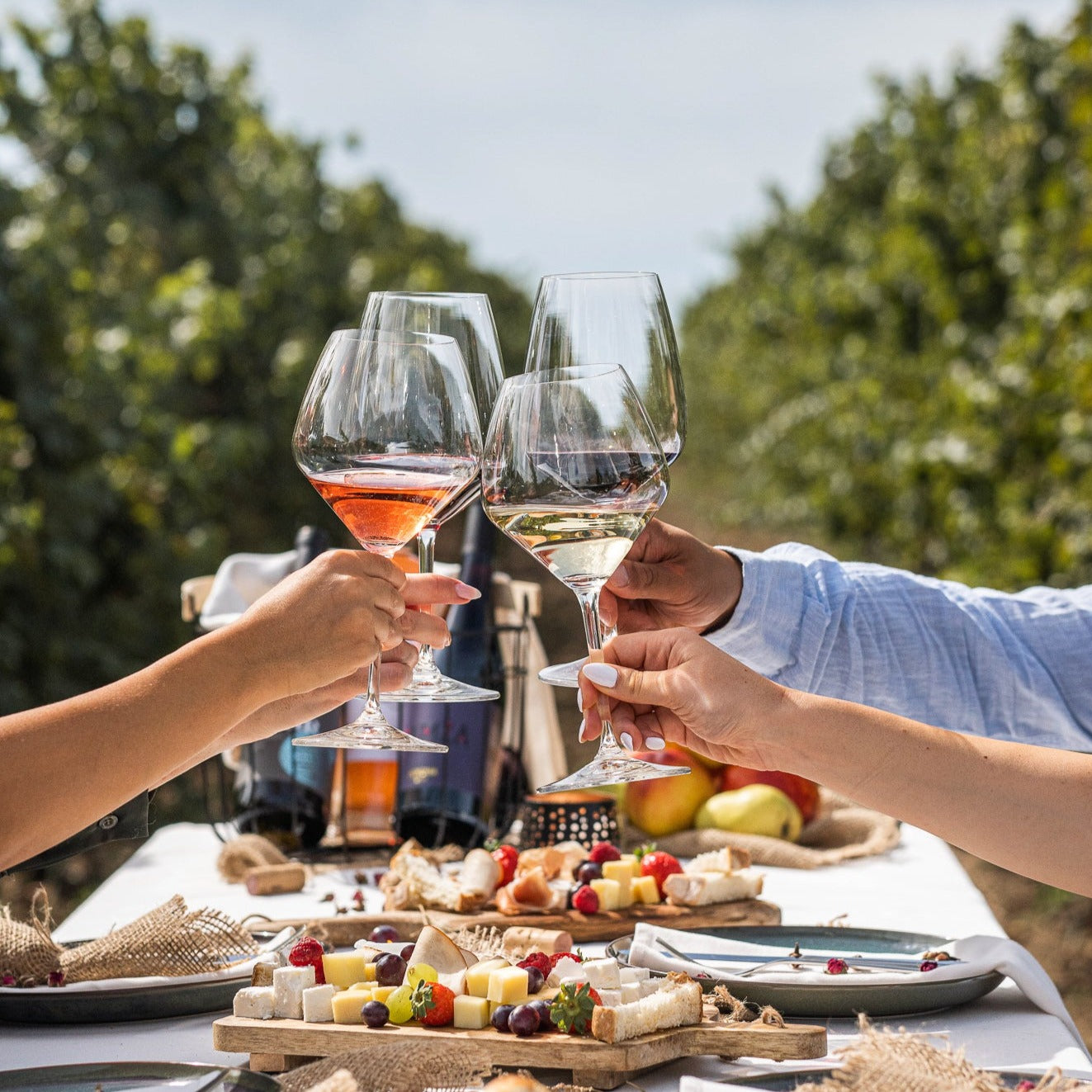 Wine tasting for four at Bononia Estate Winery and Resort