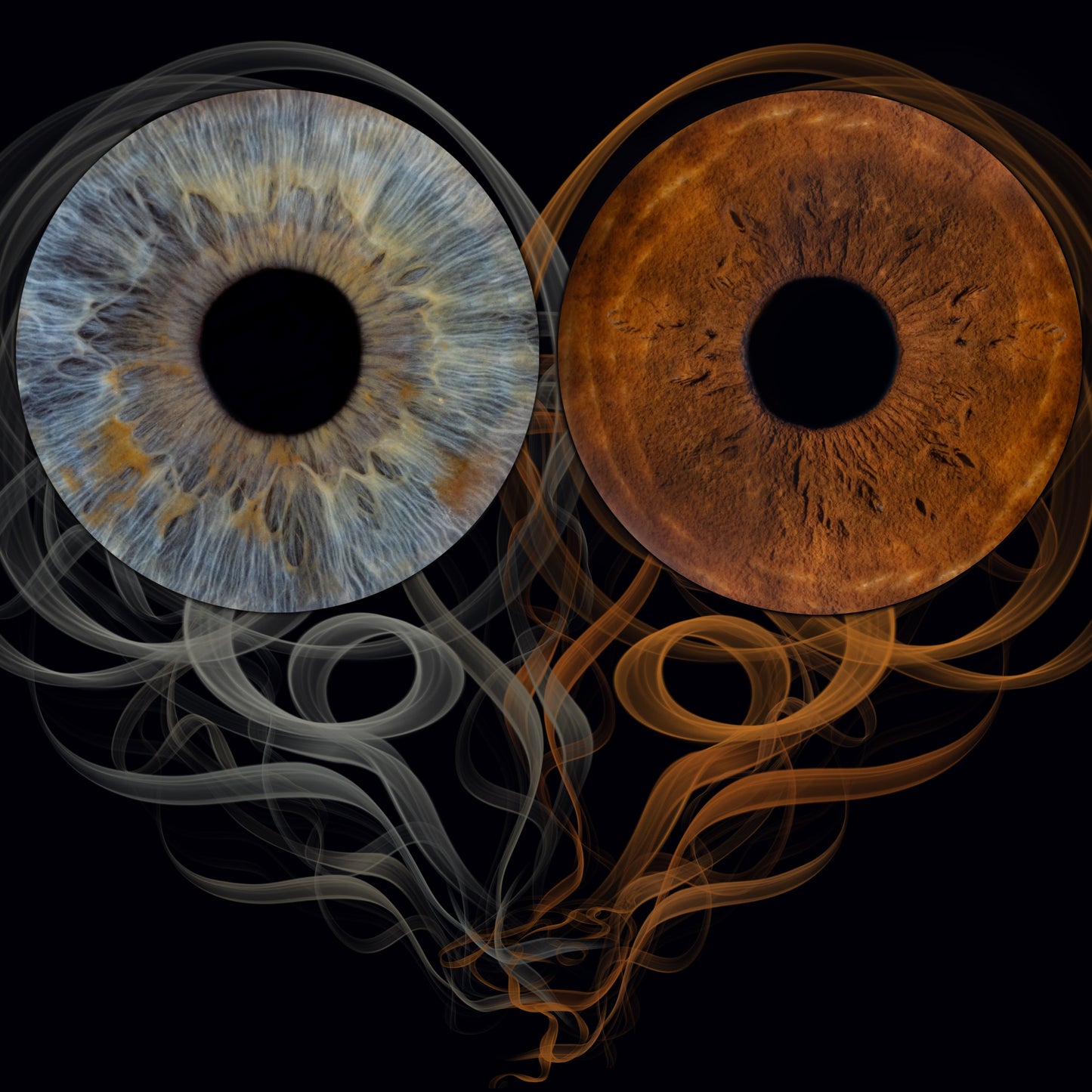 Your eyes as a masterpiece. Iris photography in Sofia