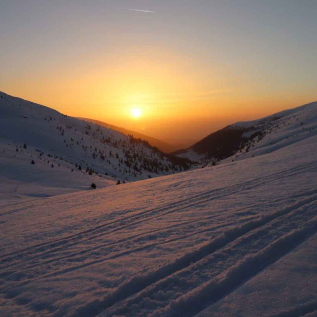 Discover the beauty of Bulgaria! Mountain hike to Macedonia Hut, the Parangalitsa Reserve and Golyam Mechi Peak