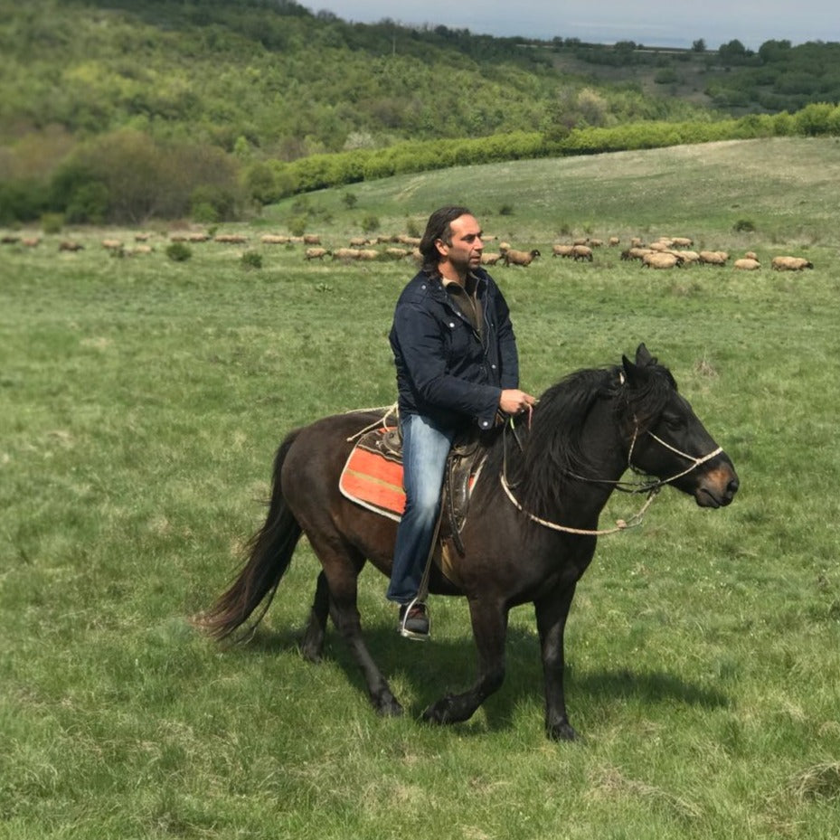 In harmony with nature and horses. Horse riding and overnight stay for two