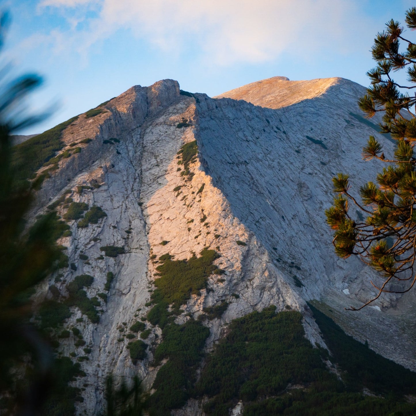 Discover the beauty of Bulgaria! Mountain trek to the Marble Giants and the secret paths of Pirin