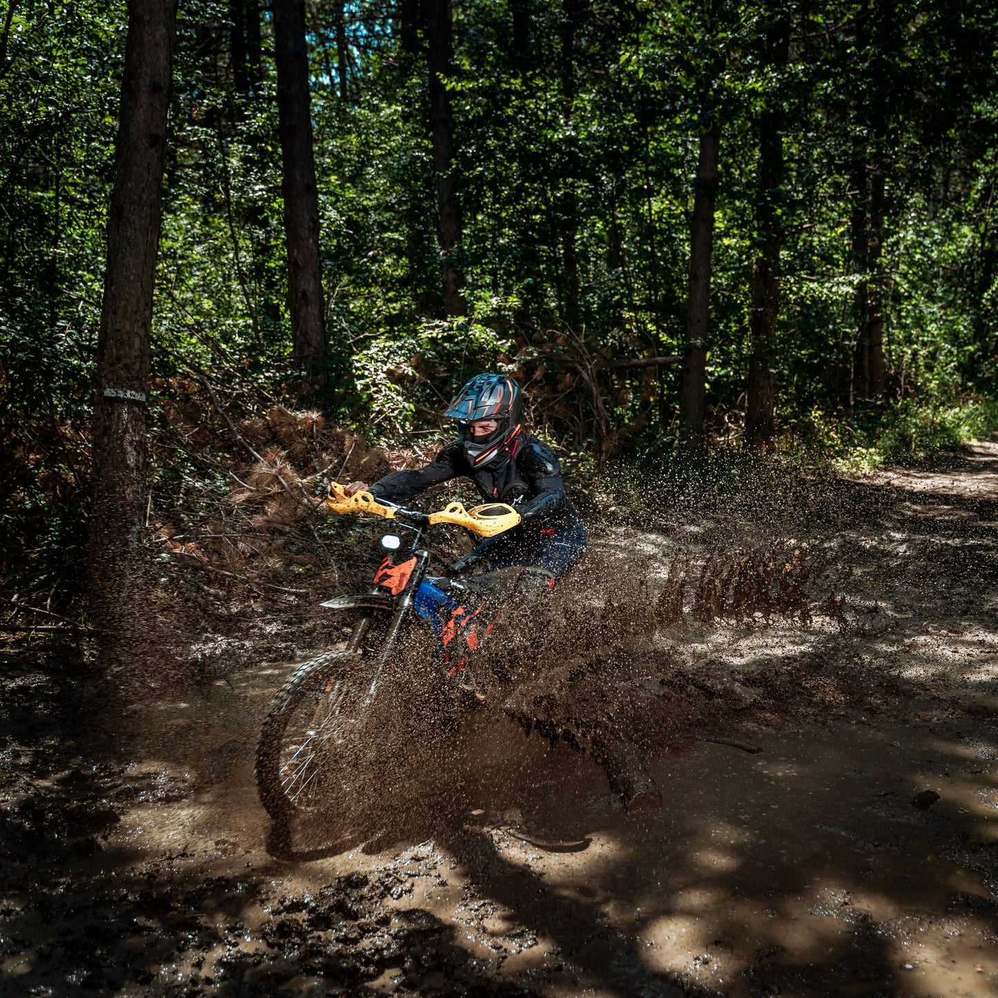 Off-road ride with Electric bike! Veliko Tarnovo and Arbanassi