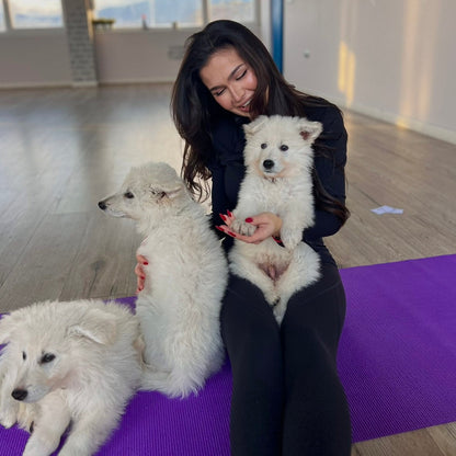 Puppy yoga class. Improve your health and relax with friendly puppies