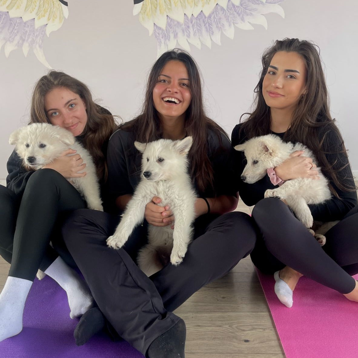 Puppy yoga class. Improve your health and relax with friendly puppies. Sofia