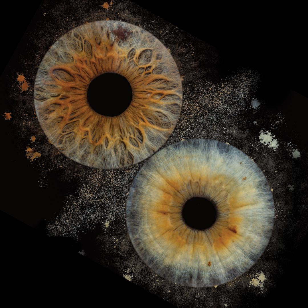 Your eyes as a masterpiece. Iris photography in Sofia