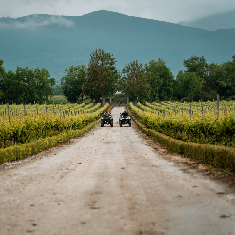 An offroad adventure for two and picnic in the vineyards around Plovdiv