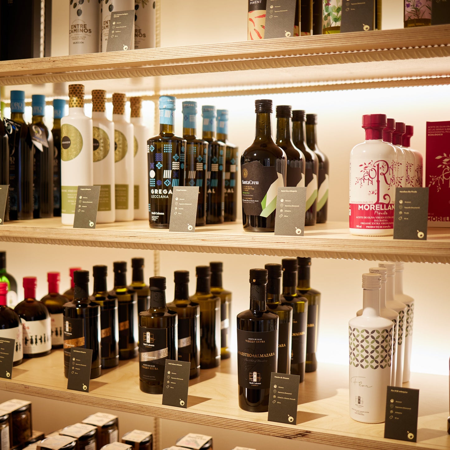 Gourmet olive oil tasting – for connoisseurs and explorers