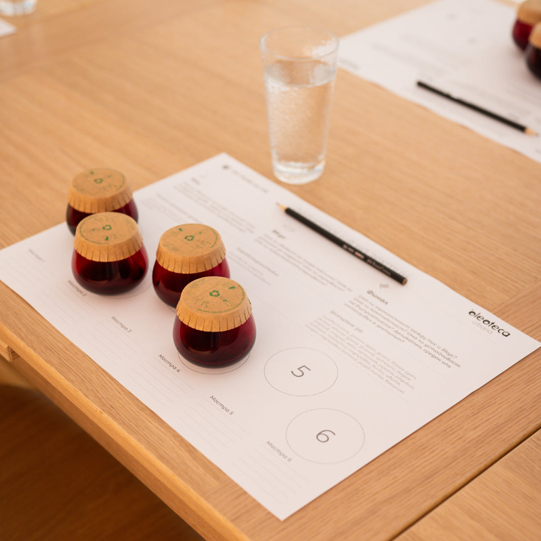 Gourmet olive oil tasting – for connoisseurs and explorers