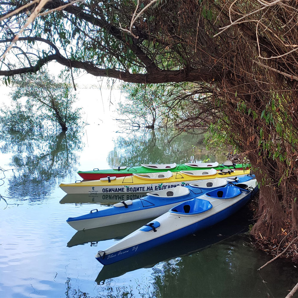 Island kayaking adventure
