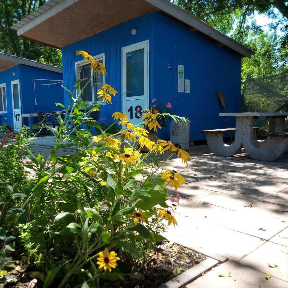 Surfing, kayaking, sailing or paddle board lessons and 2 nights for two by the sea. Camping Nestinarka