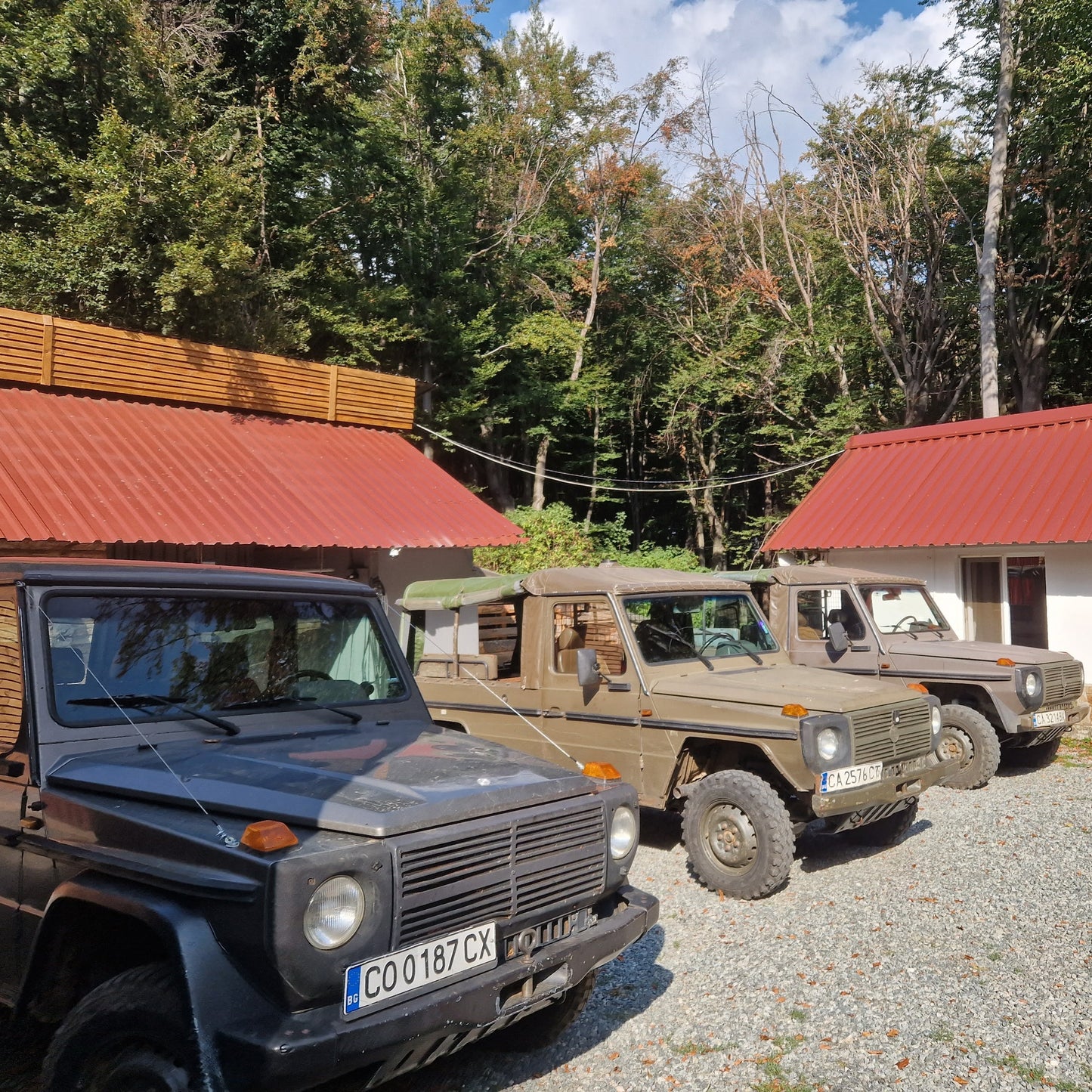 Call of the wild. Jeep offroad, trek, and wildlife observation