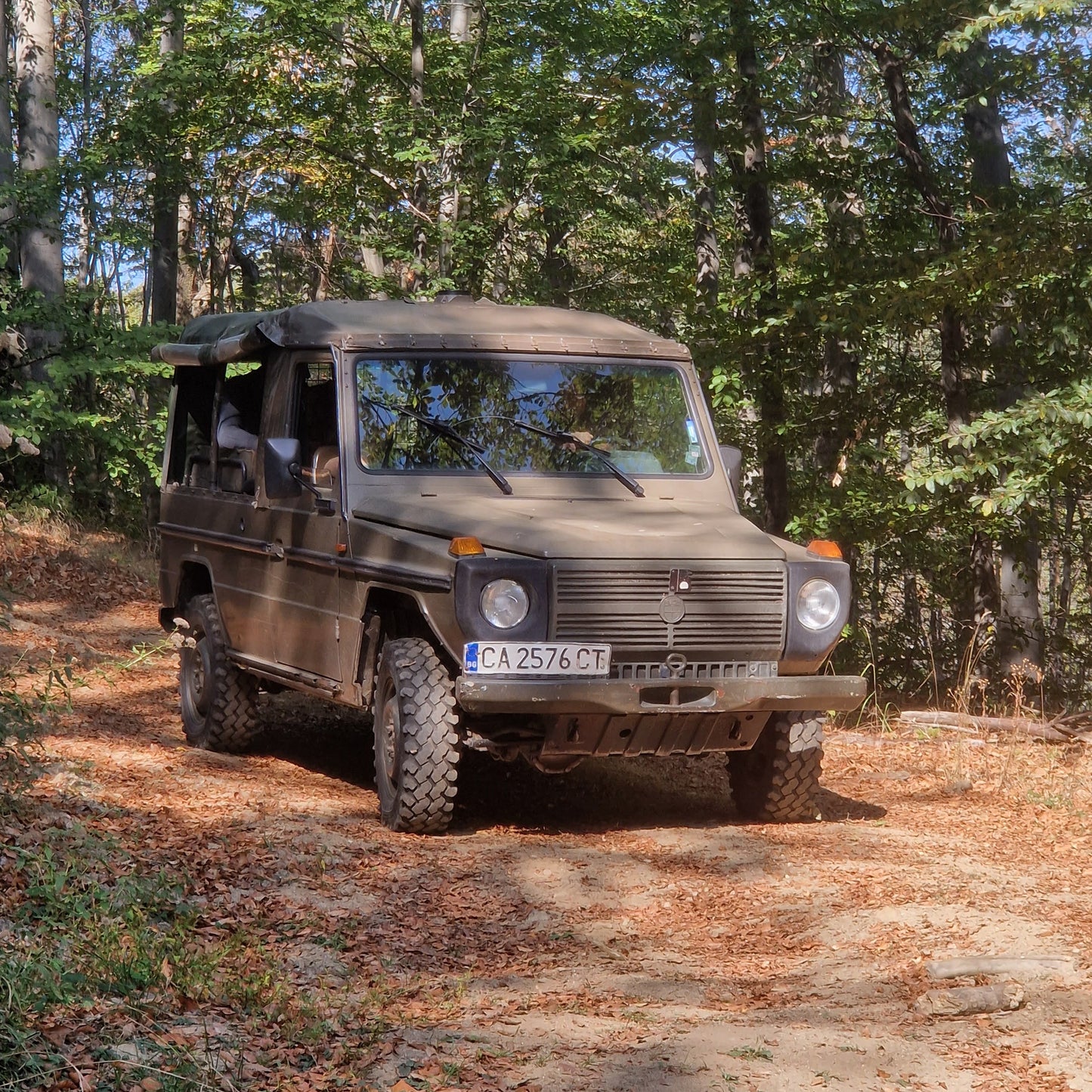 Call of the wild. Jeep offroad, trek, and wildlife observation