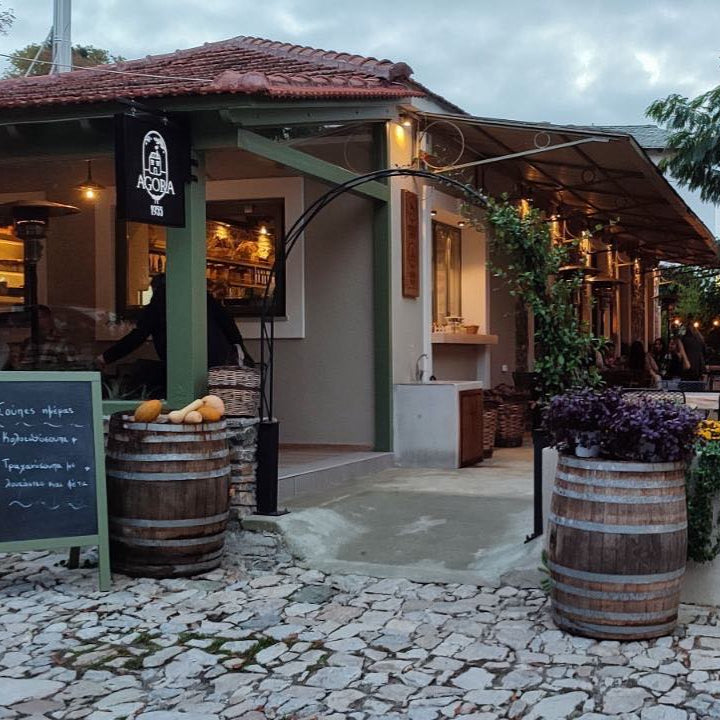 Authentic Greek wine tasting at Agora 1955 cellar in Pelion. Greece