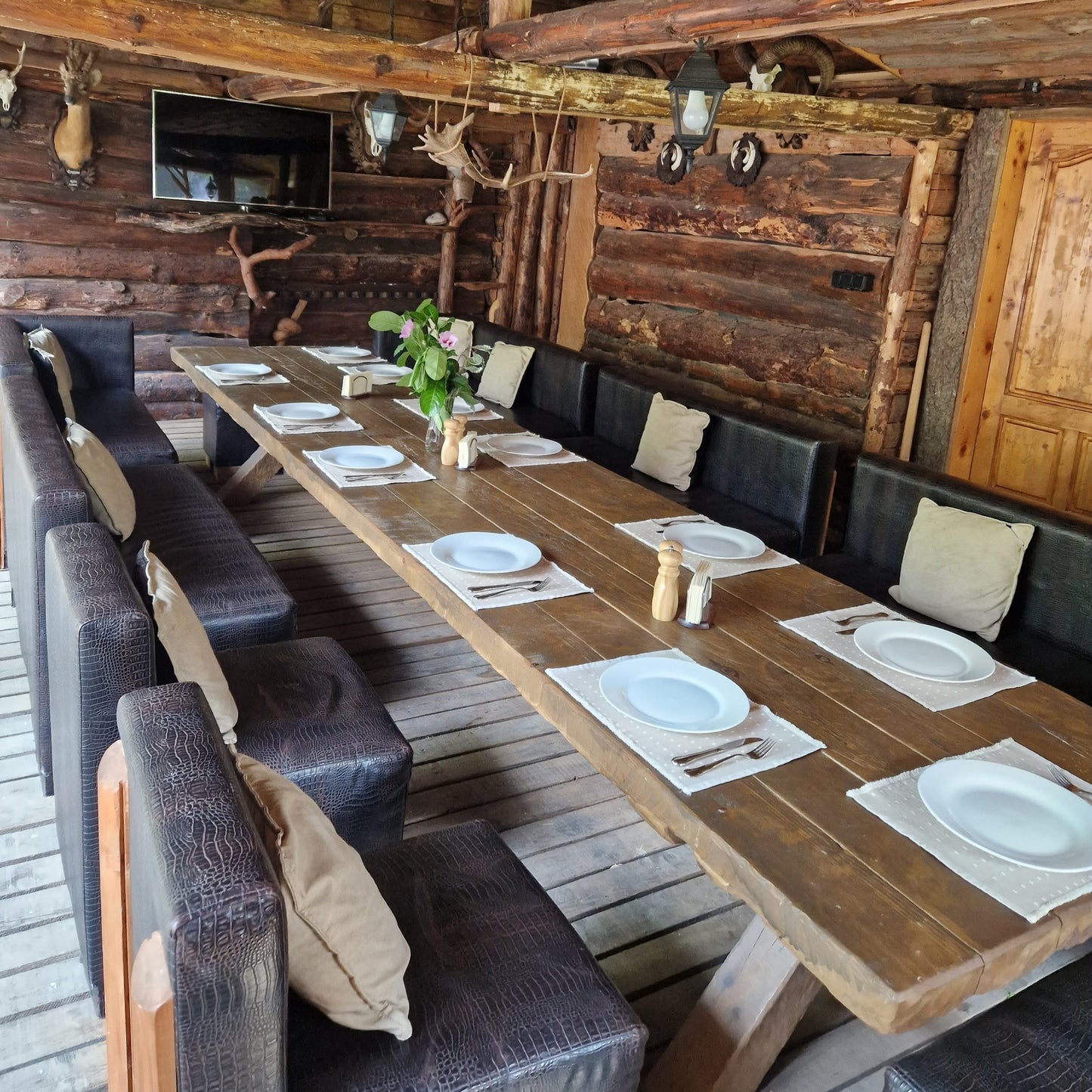 Day out for the whole family. Forest fun and archery