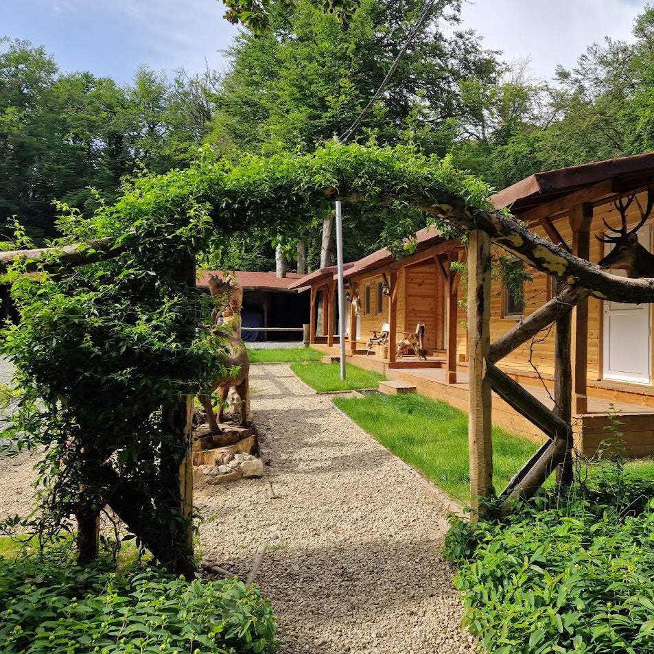 Day out for the whole family. Forest fun and archery