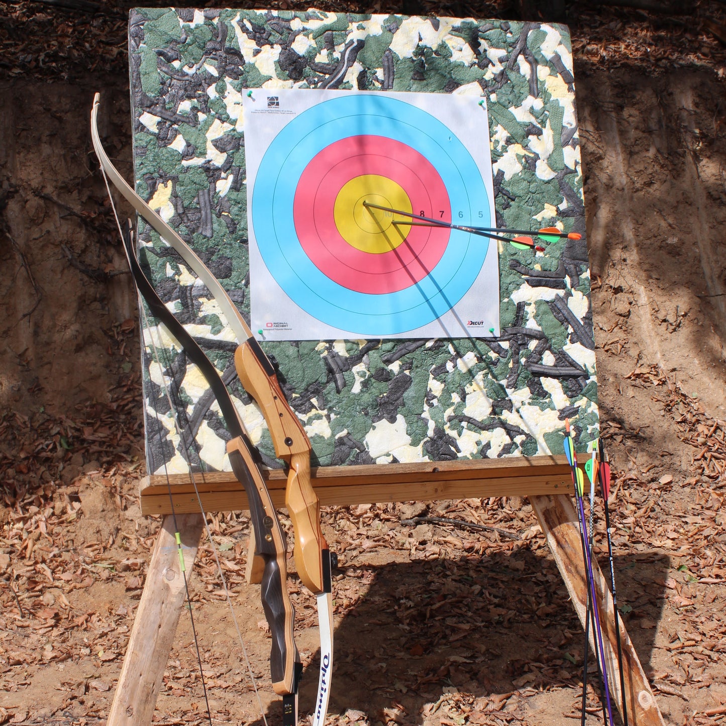 Day out for the whole family. Forest fun and archery
