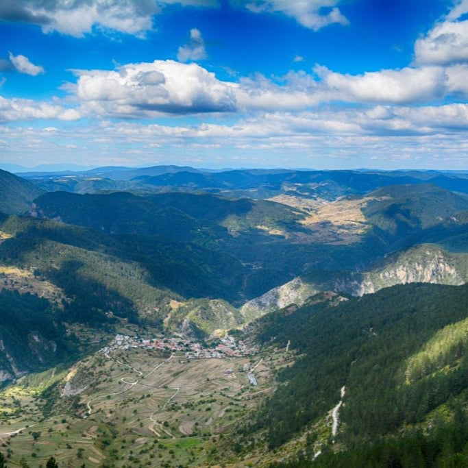 Visit seven of the most beautiful places in Western Rhodopes. Jeep safari for six people