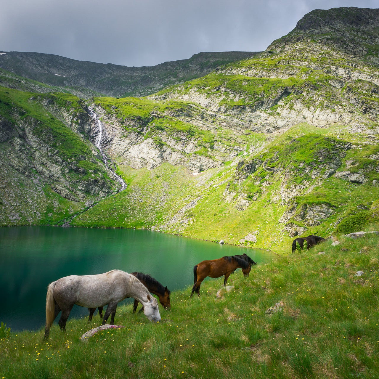 Снимка на коне, които пасат до езеро в Рила