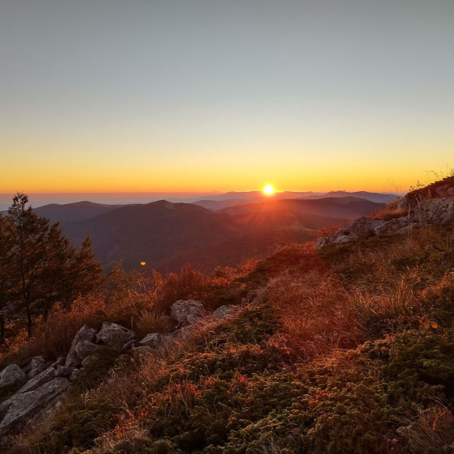 Discover the beauty of Bulgaria! Mountain trek to Mazalat Hut and the Singing Rocks