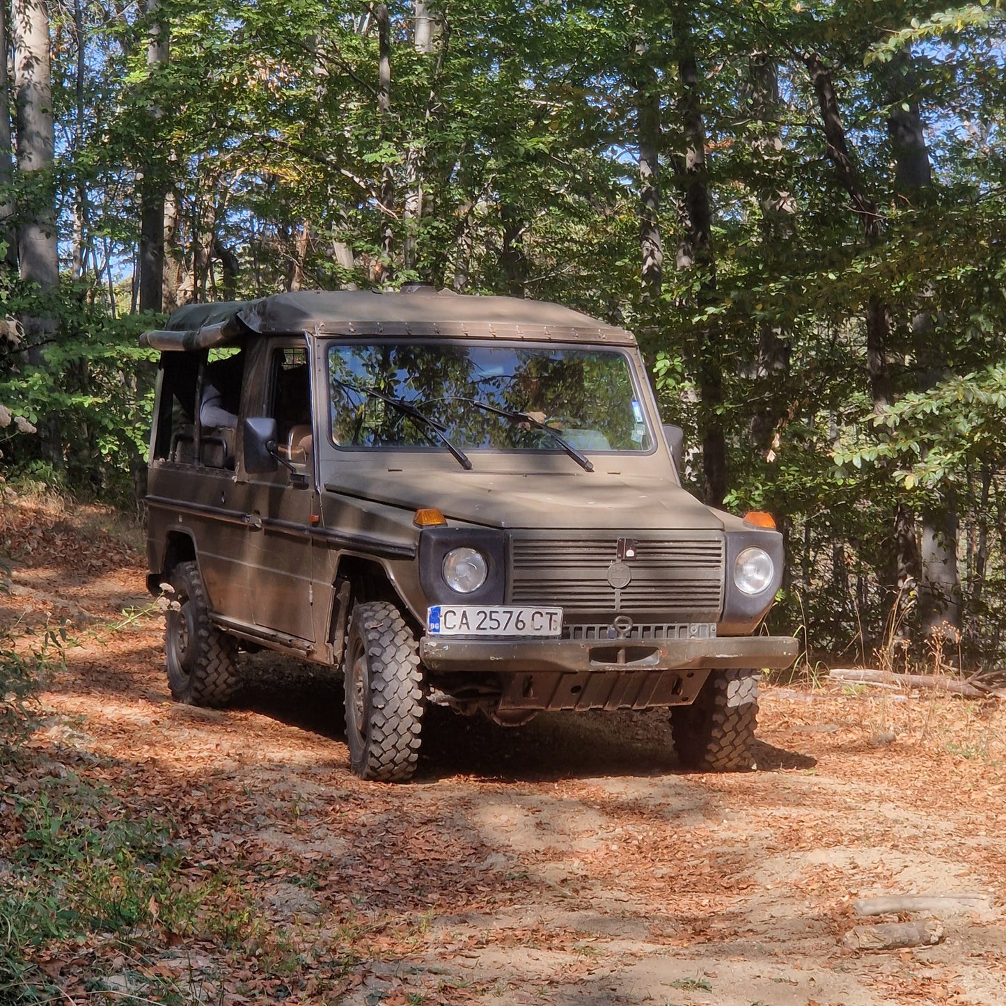 Forest offroad safari and wildlife watching near Sofia