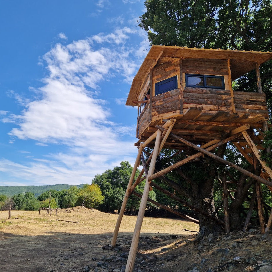 Forest offroad safari and wildlife watching near Sofia