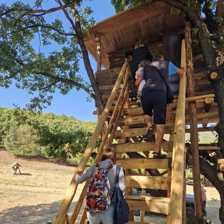 Forest offroad safari and wildlife watching near Sofia