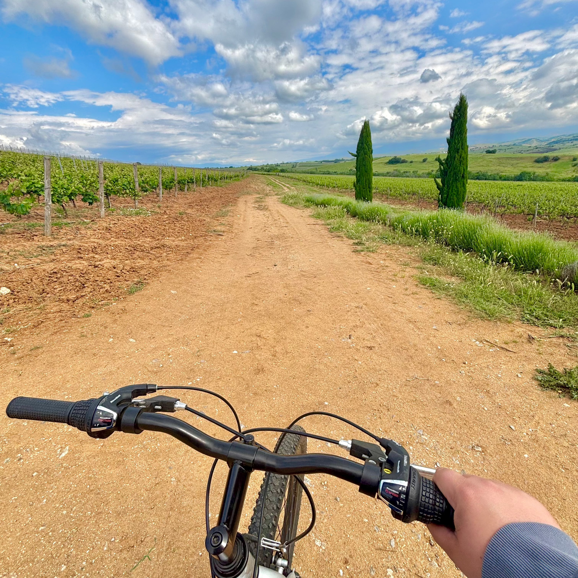 Човек кара колело около лозята на изба Рупел