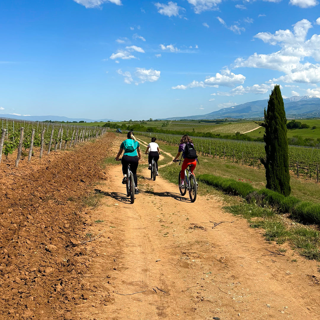 Колоездачи се наслаждават на тура около изба Рупел