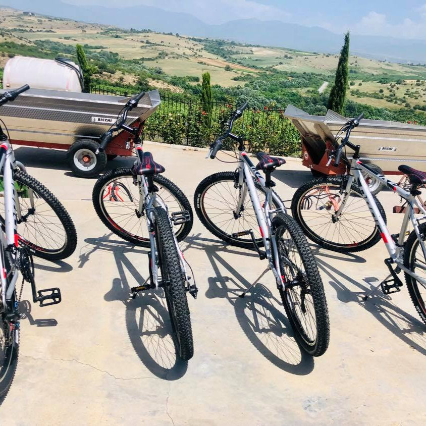 Снимка на колелата за велотура около винарска изба Рупел