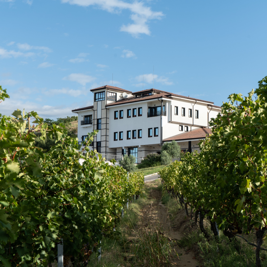 Shared Wine Experience for 6 People – Wine Tasting and Winery Tour