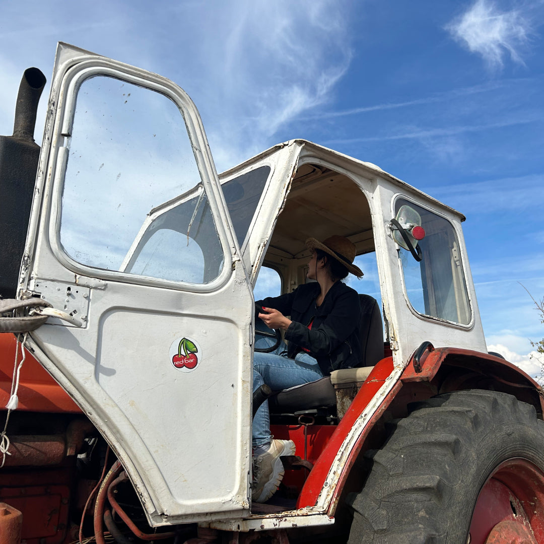 Driving a tractor on your own. Veliko Tarnovo and Arbanassi