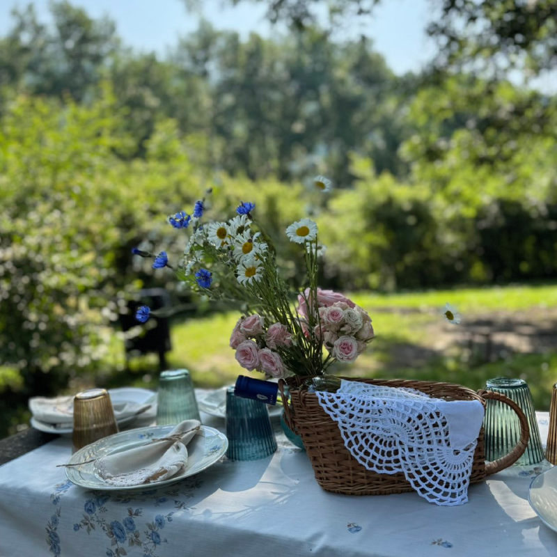 Nature, taste and shared moments – elegant picnic in Vitosha