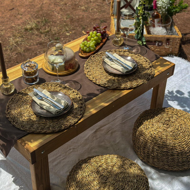 Picnic for two at Belogradchik rocks