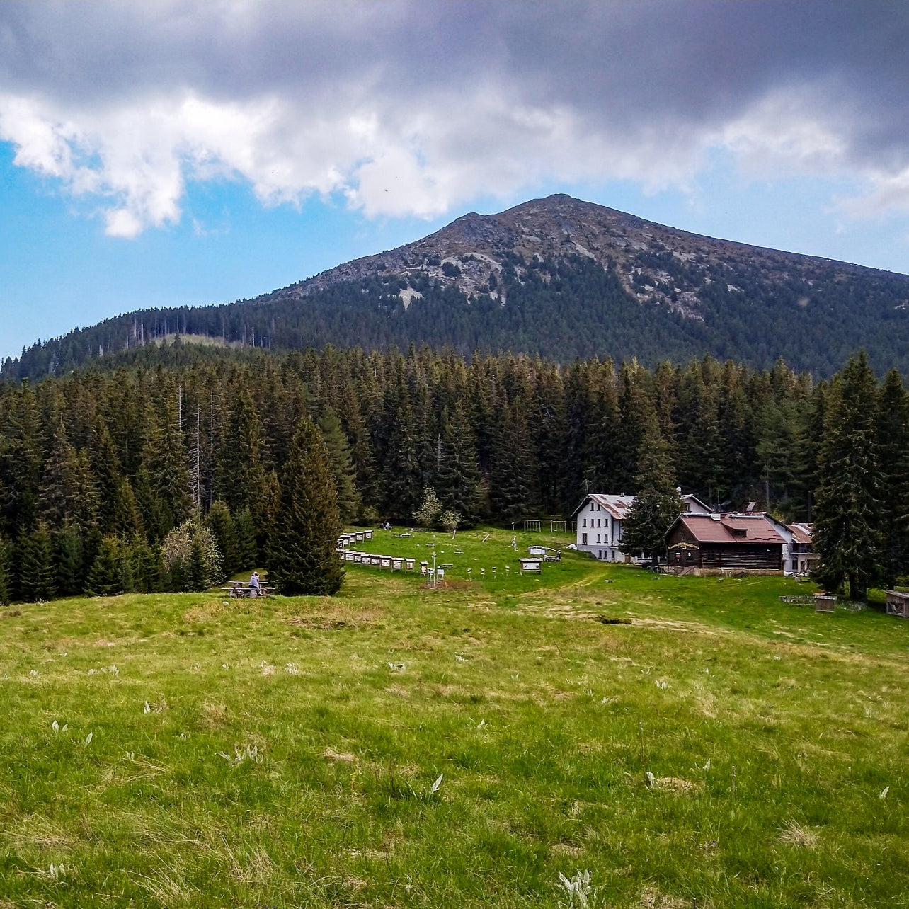 Discover the beauty of Bulgaria! Mountain trek to Vejen Peak, Benkovski Hut and Bratanishki Ushi Peaks