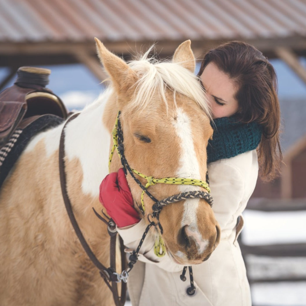 Wild Wild West! A package of individual Mustang riding lessons for beginners in an authentic ranch