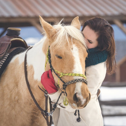 Wild Wild West! A package of individual Mustang riding lessons for beginners in an authentic ranch